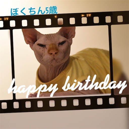 f:id:Asamimi:20200329223001j:image