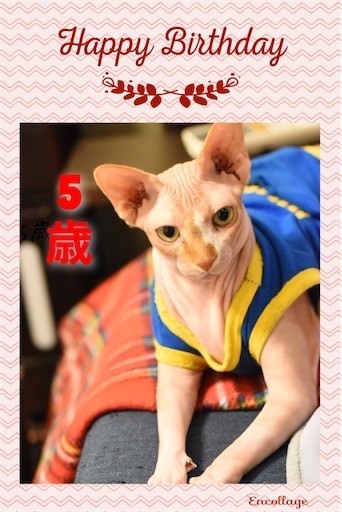 f:id:Asamimi:20200425001748j:image