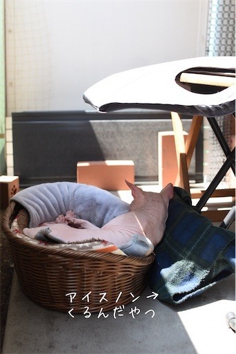 f:id:Asamimi:20200807123103j:image