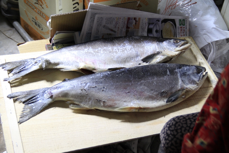 f:id:Asay:20110103214933j:image