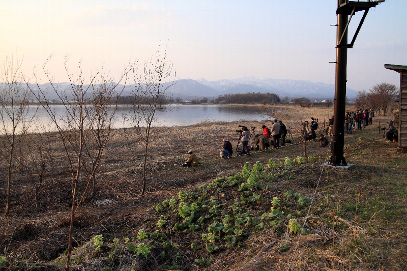 f:id:Asay:20110331233525j:image