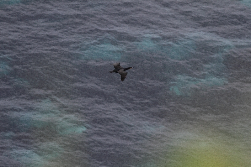 f:id:Asay:20110730230047j:image