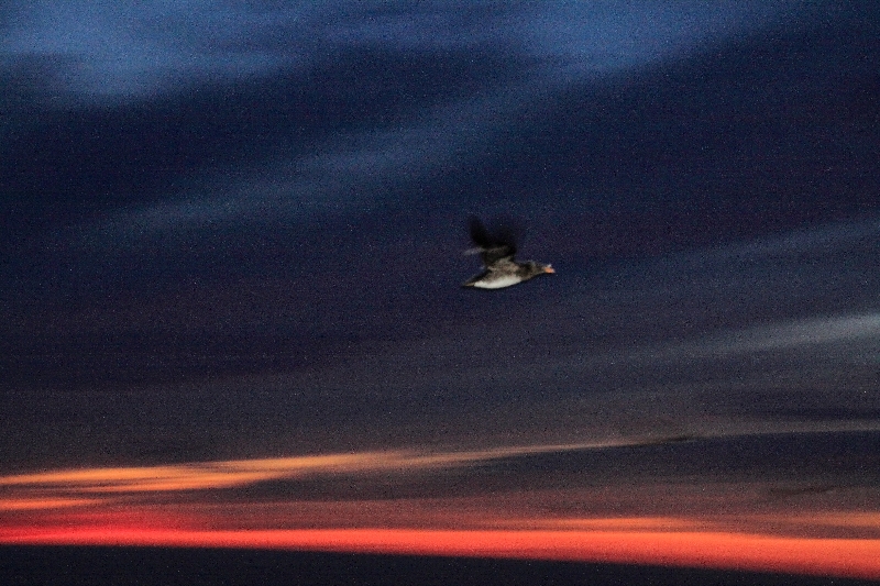 f:id:Asay:20110730230048j:image