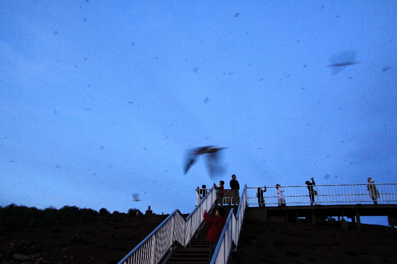 f:id:Asay:20110730230050j:image