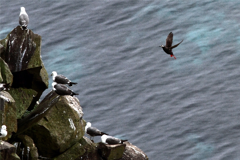 f:id:Asay:20110730230423j:image