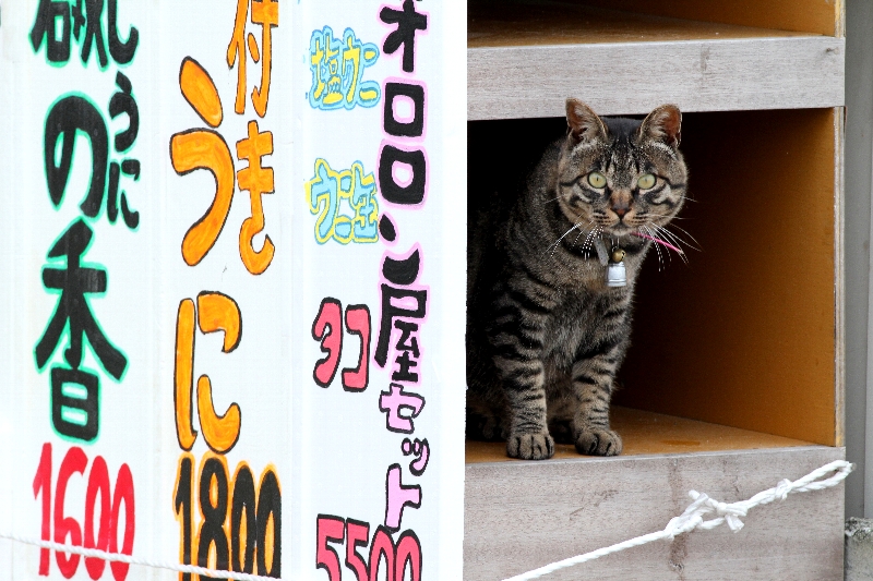 f:id:Asay:20110730230637j:image