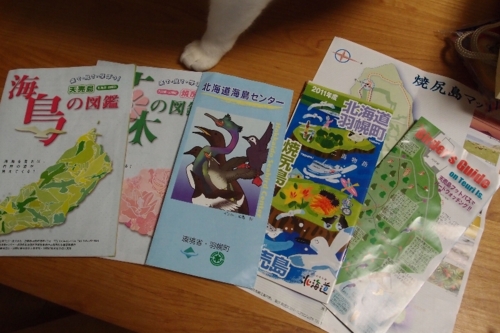 f:id:Asay:20110731000544j:image
