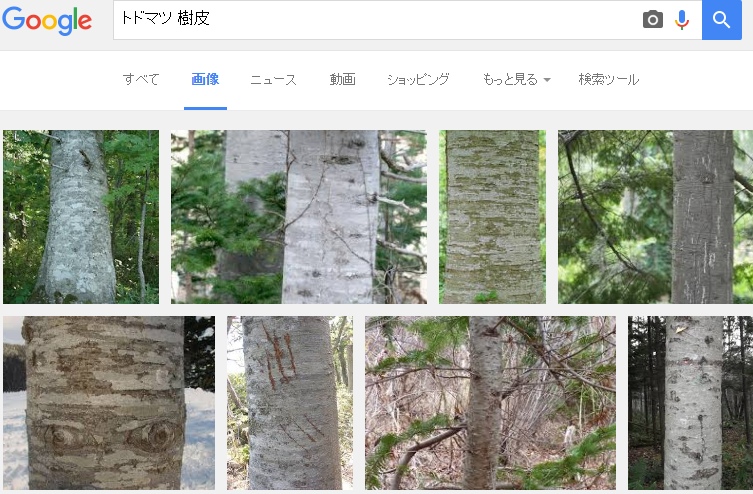 f:id:Asay:20160530123504p:plain:w300