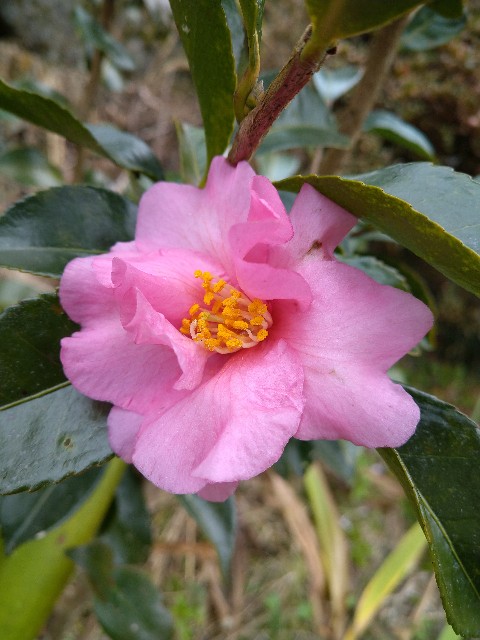 f:id:Ashito:20211229175041j:image