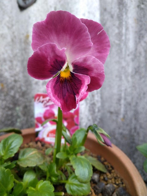 f:id:Ashito:20211229202231j:image f:id:Ashito:20211229202231j:image