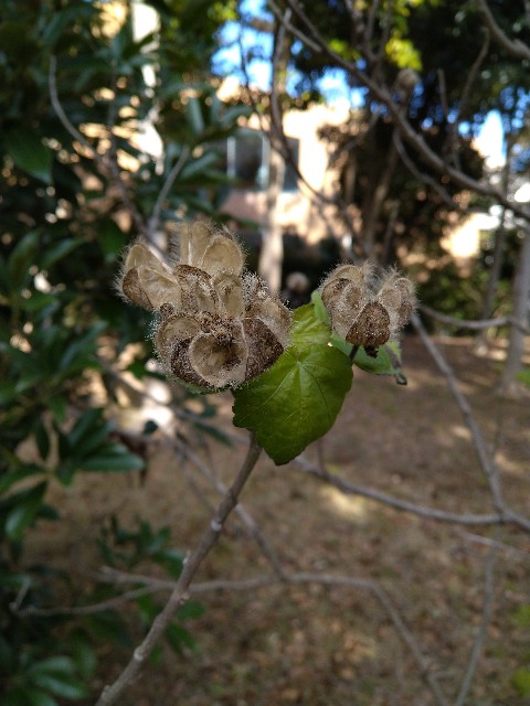 f:id:Ashito:20220104184442j:image