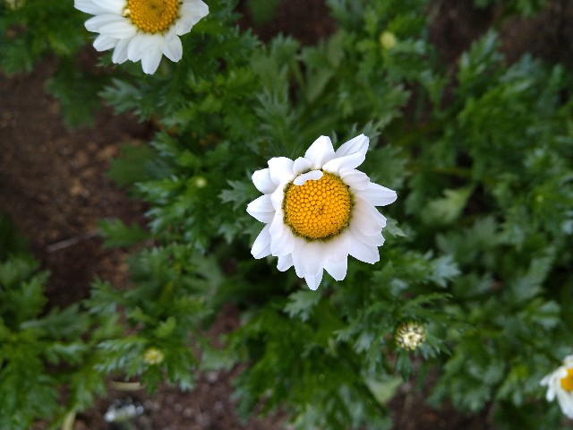 f:id:Ashito:20220115125156j:image