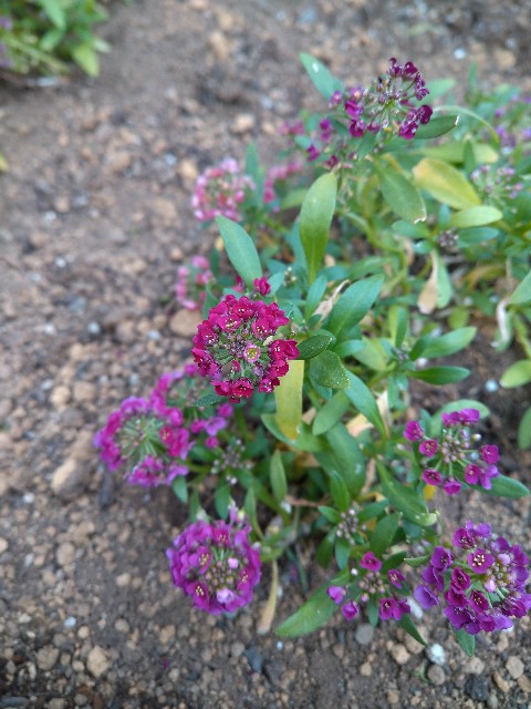 f:id:Ashito:20220115125243j:image