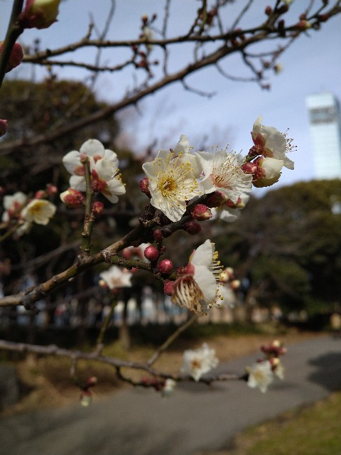 f:id:Ashito:20220115125350j:image