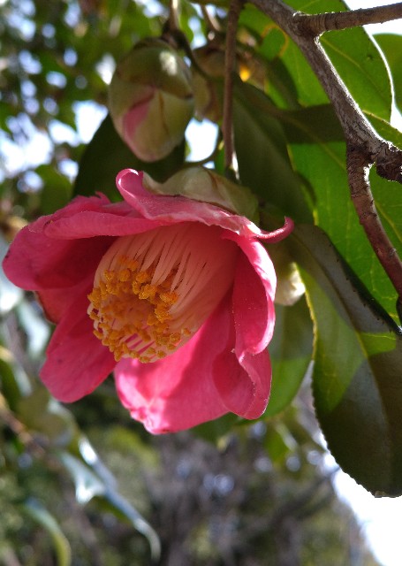 f:id:Ashito:20220115125436j:image