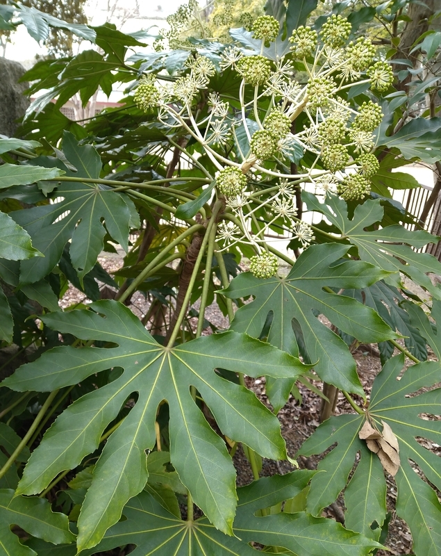 f:id:Ashito:20220123155147j:plain