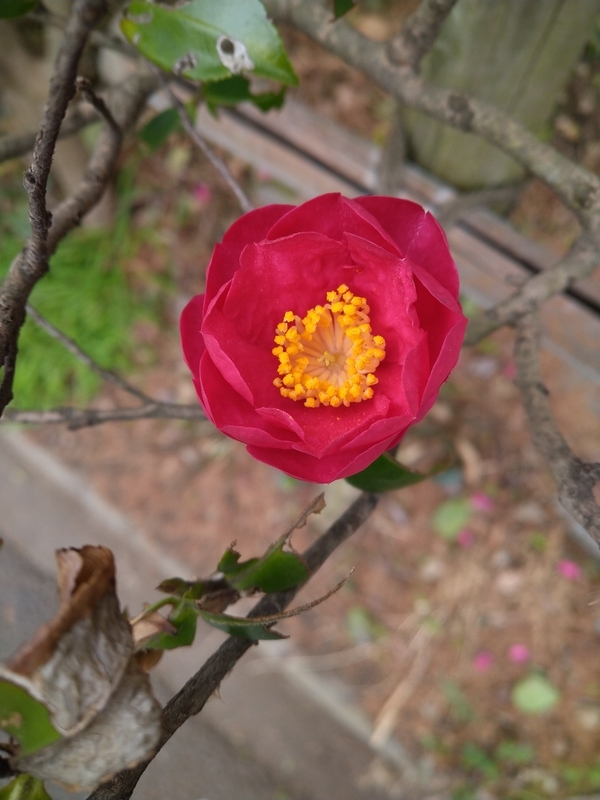f:id:Ashito:20220123155348j:plain