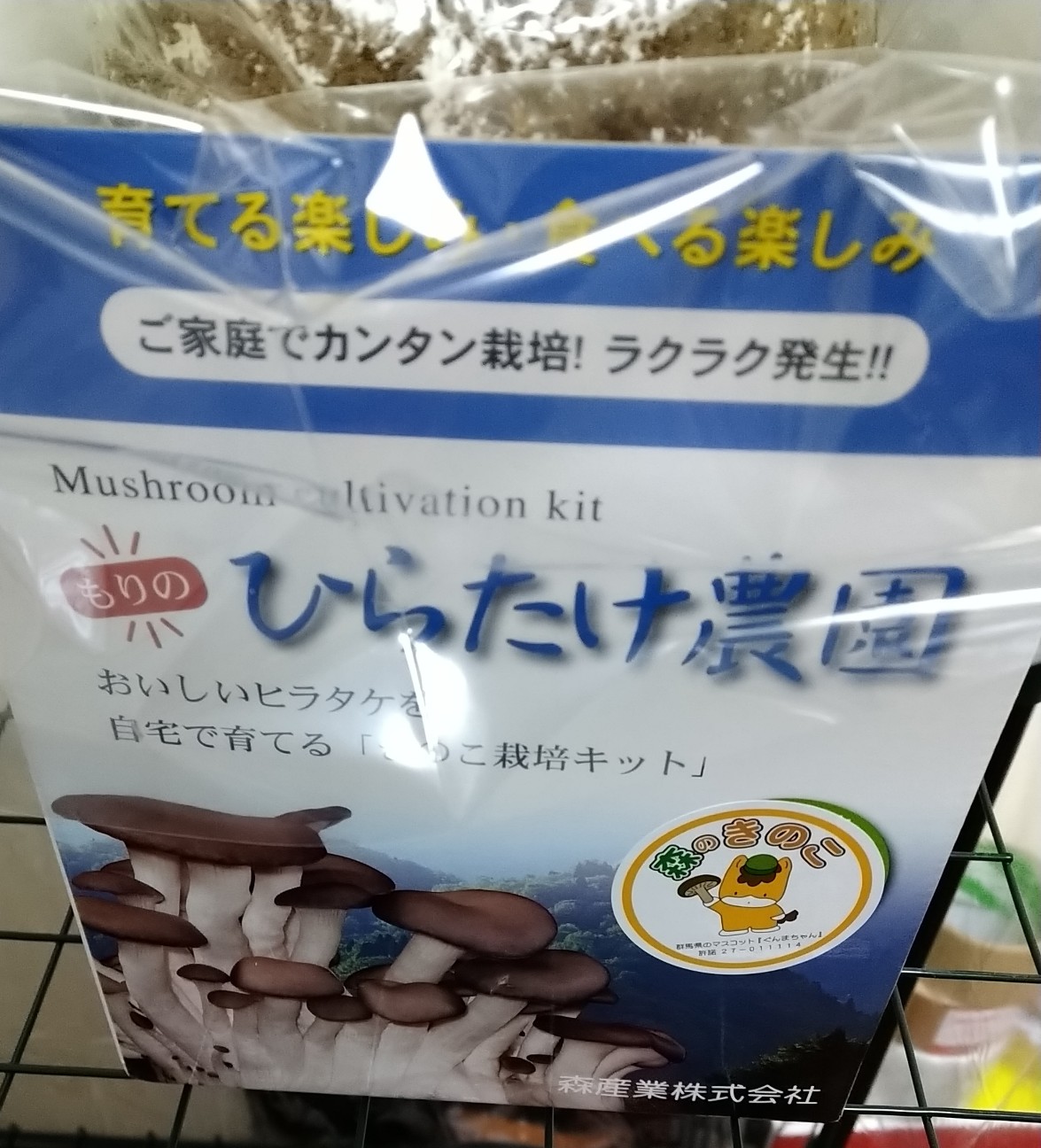 f:id:Ashito:20220210182607j:image