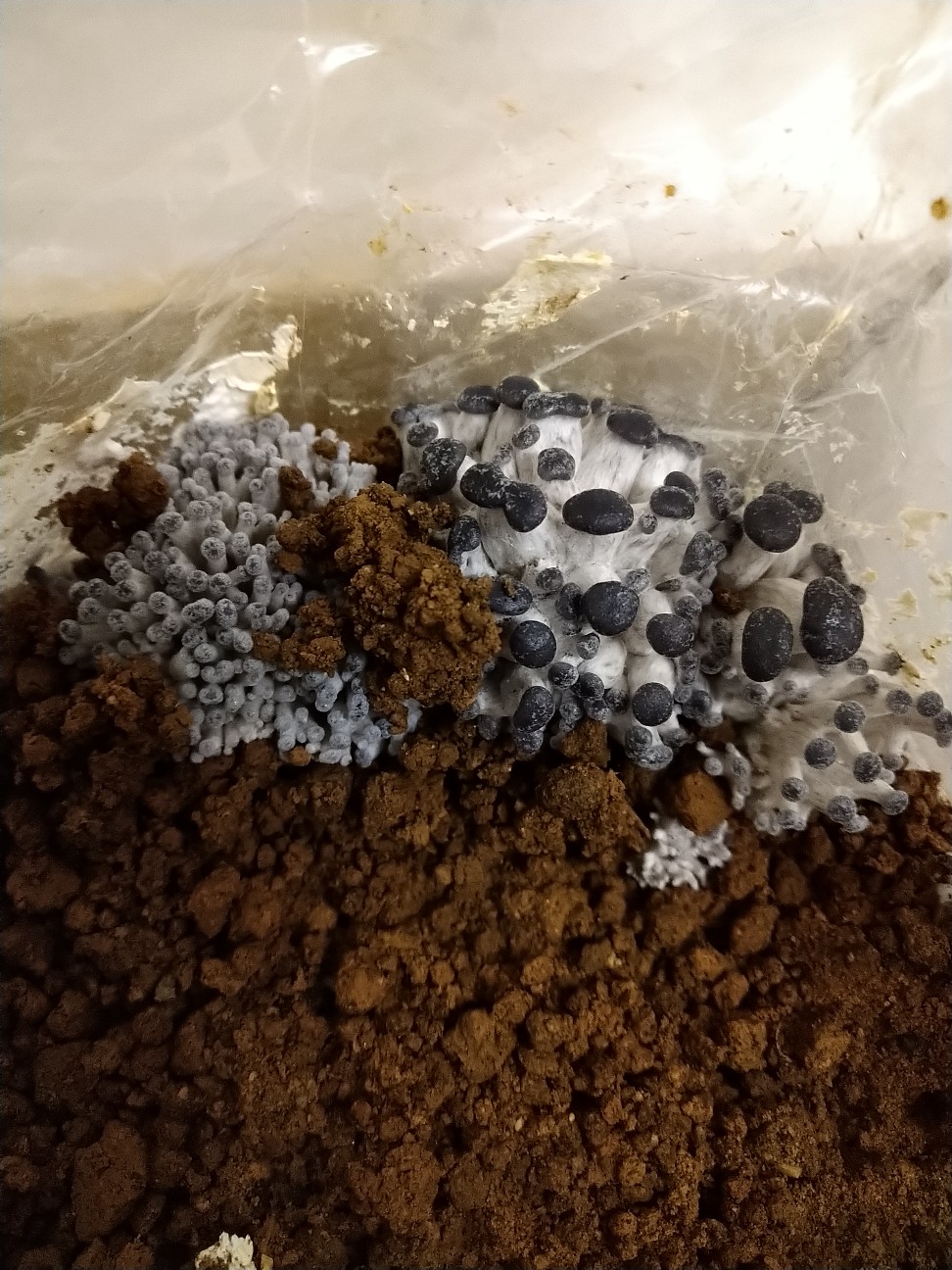 f:id:Ashito:20220219171901j:image f:id:Ashito:20220219171901j:image