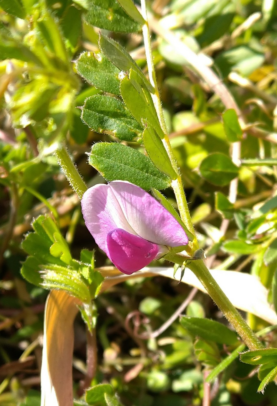 f:id:Ashito:20220226172715j:image f:id:Ashito:20220226172715j:image