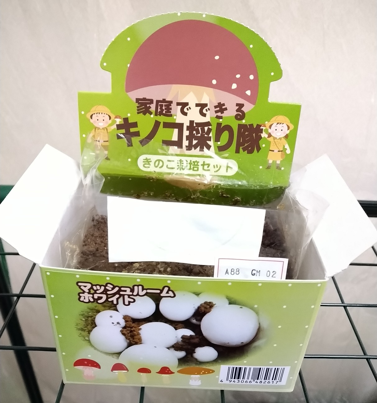 f:id:Ashito:20220301165607j:image