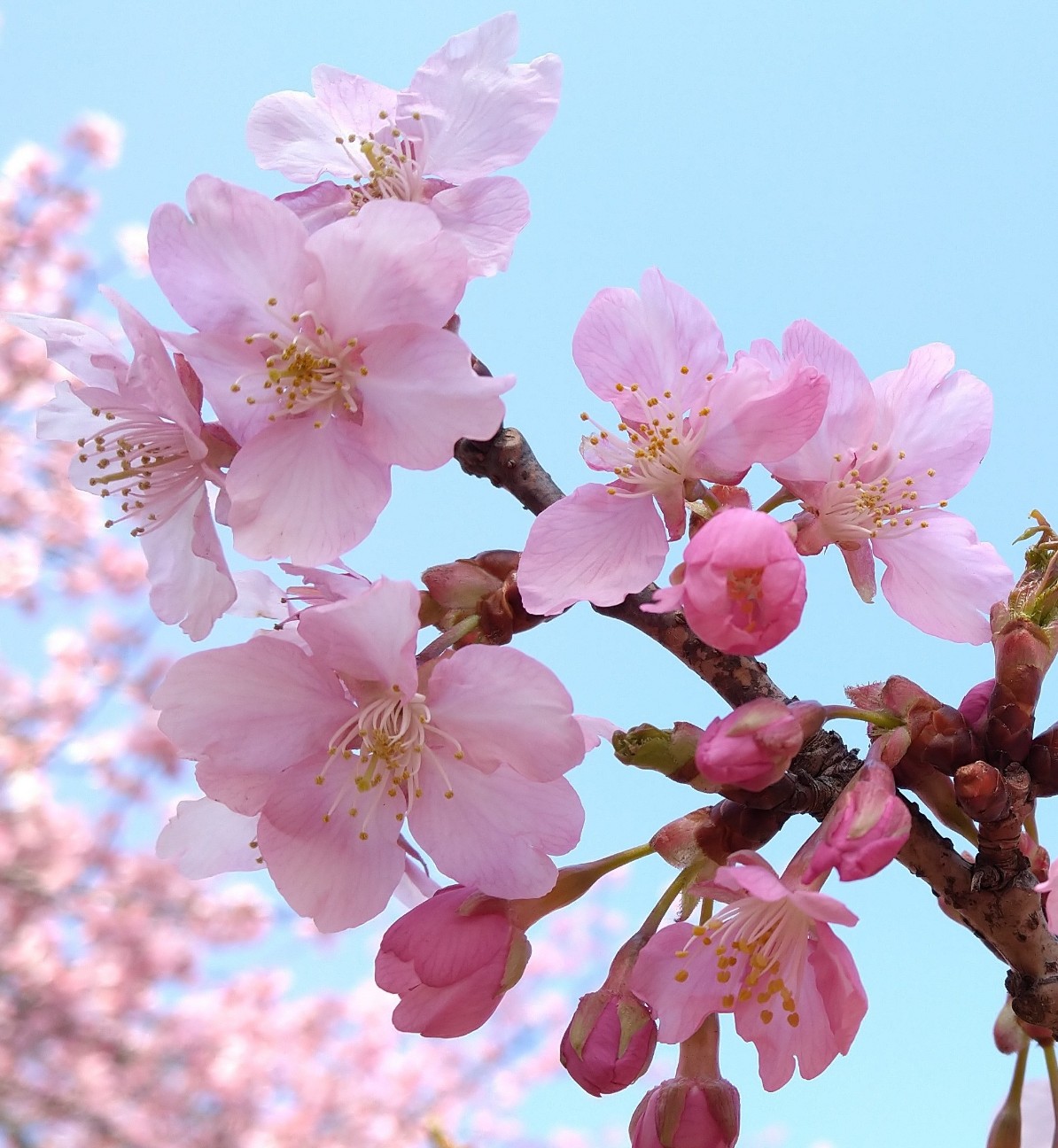 f:id:Ashito:20220311113028j:image