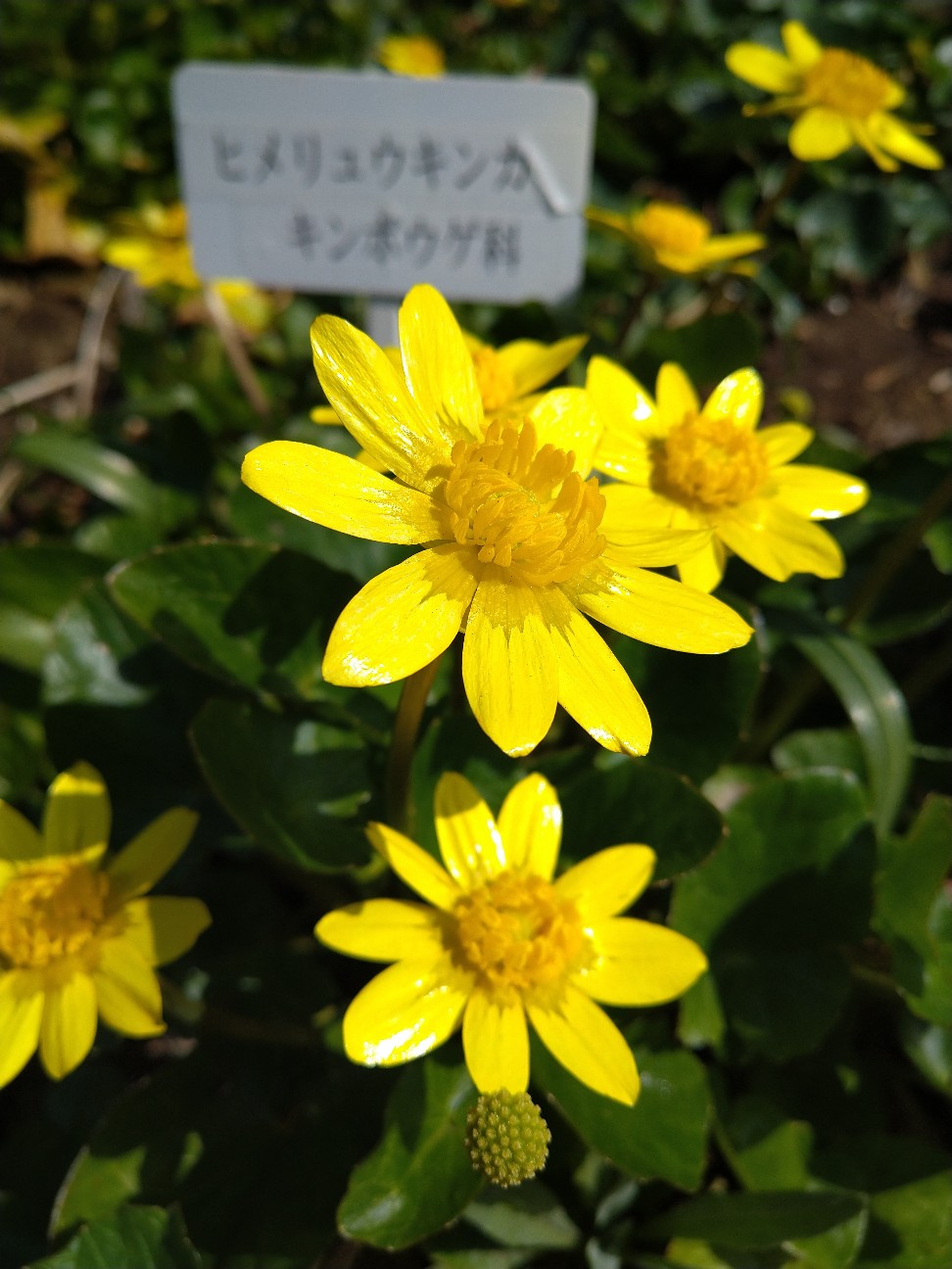 f:id:Ashito:20220311155644j:image