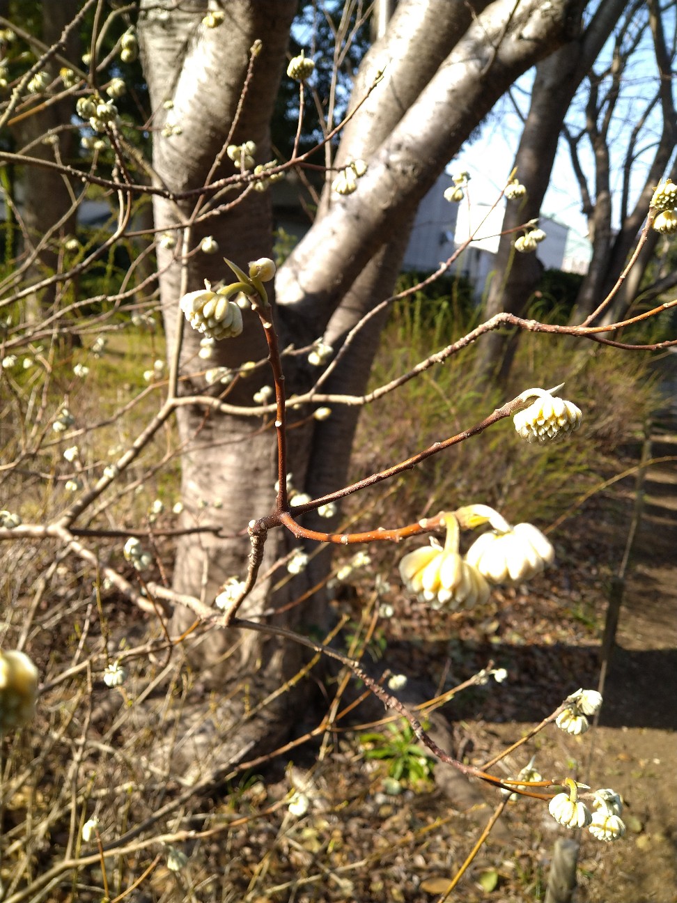 f:id:Ashito:20220311161716j:image