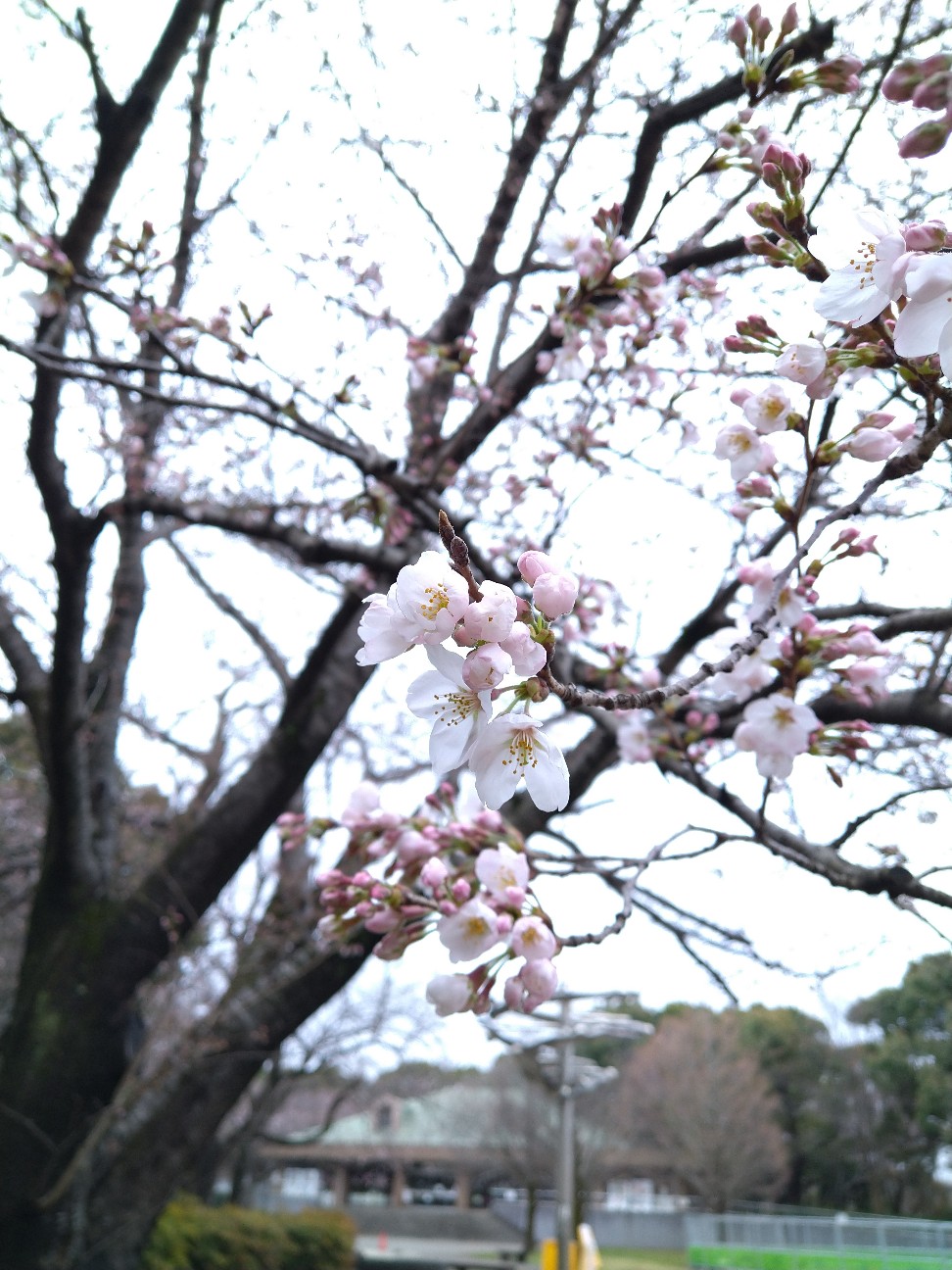 f:id:Ashito:20220327092451j:image f:id:Ashito:20220327092451j:image