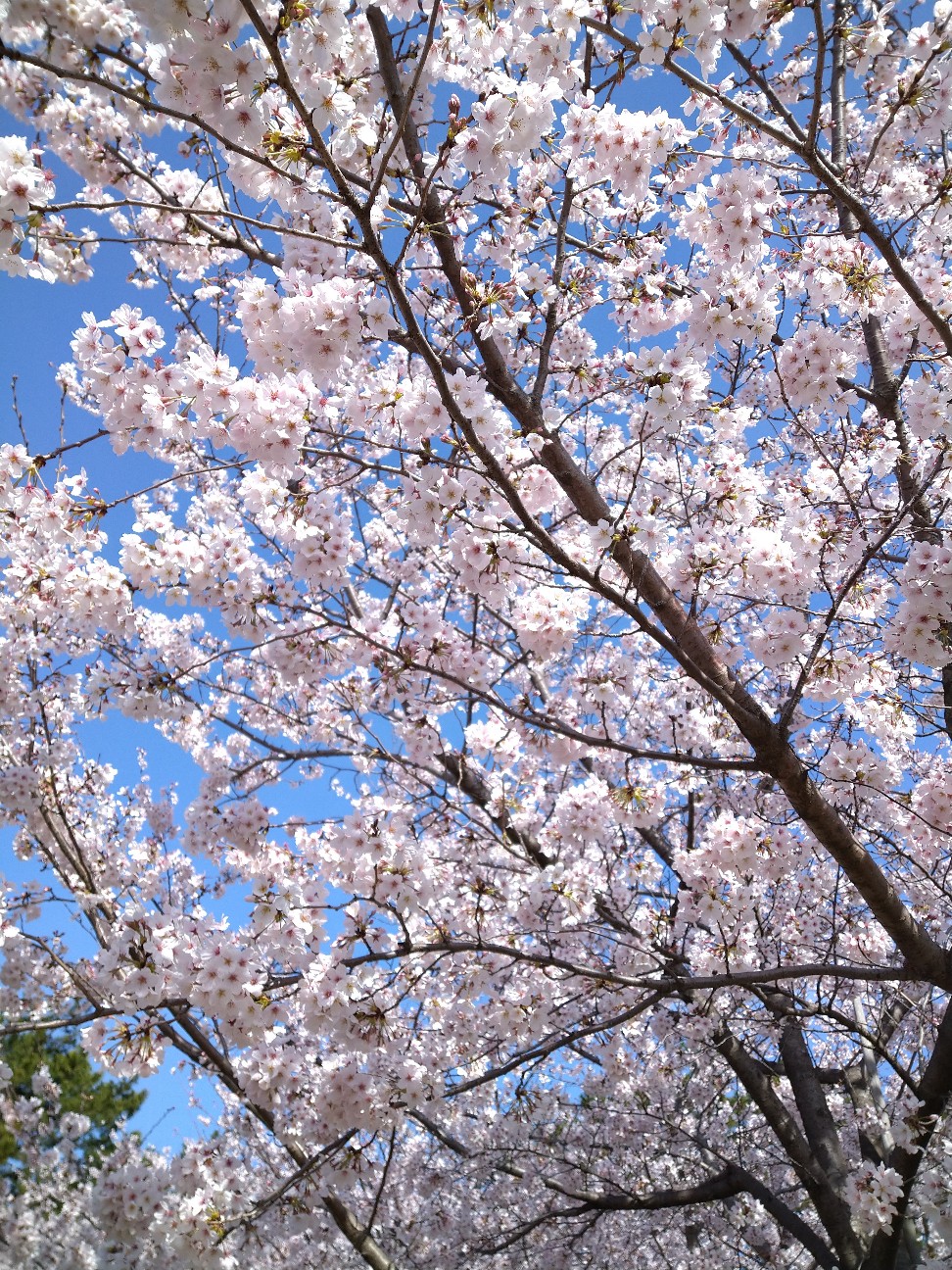 f:id:Ashito:20220402093217j:image f:id:Ashito:20220402093217j:image