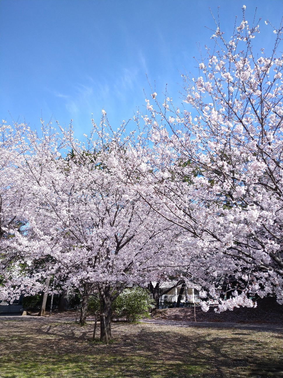 f:id:Ashito:20220402093233j:image f:id:Ashito:20220402093233j:image