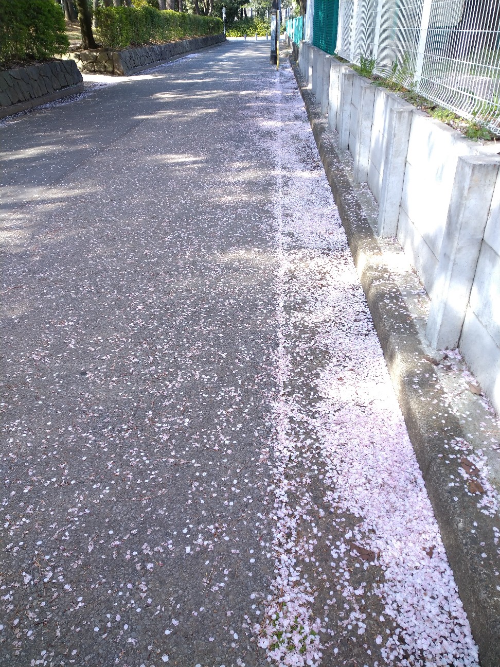 f:id:Ashito:20220402094052j:image f:id:Ashito:20220402094052j:image