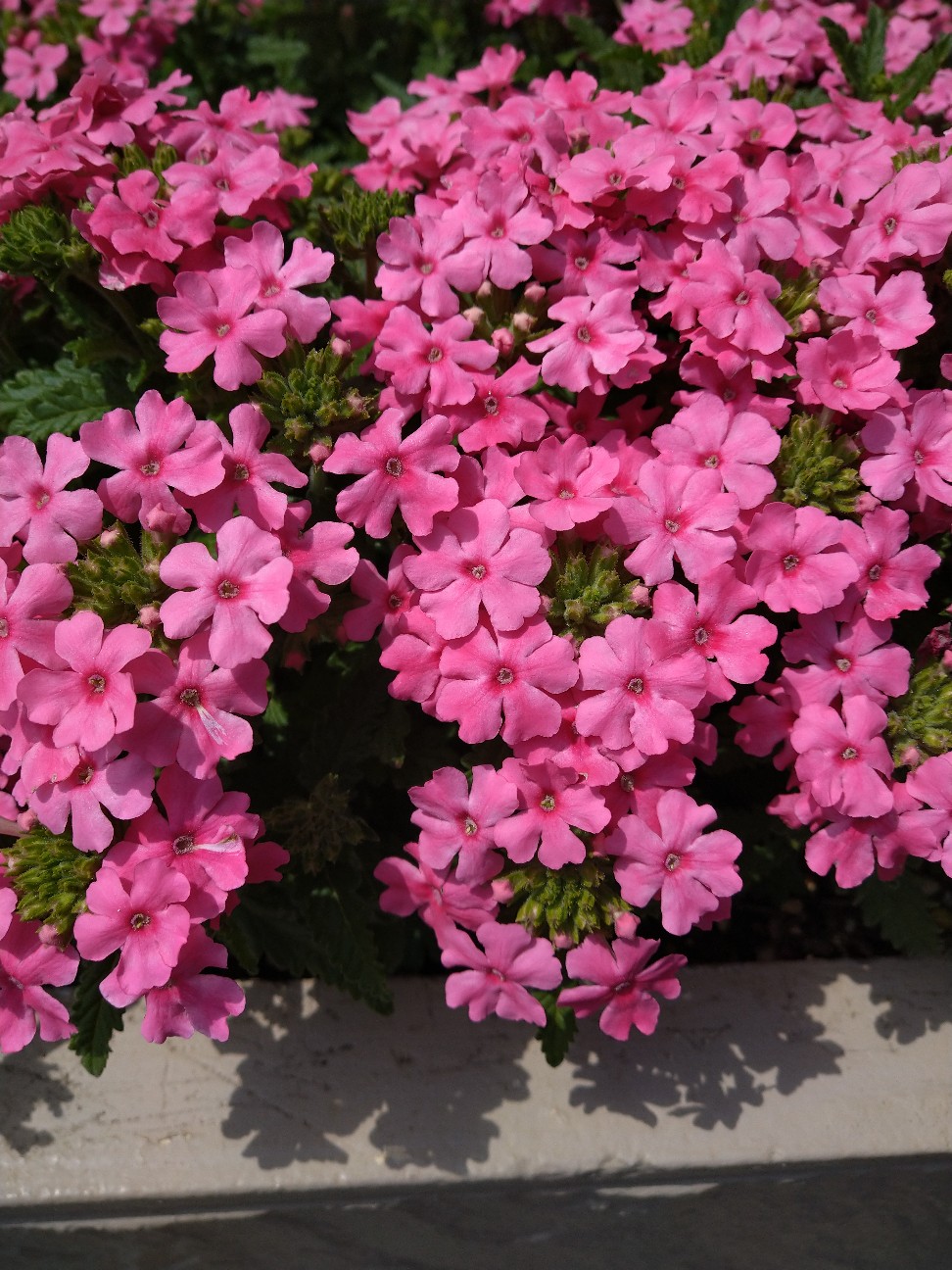 f:id:Ashito:20220409171538j:image