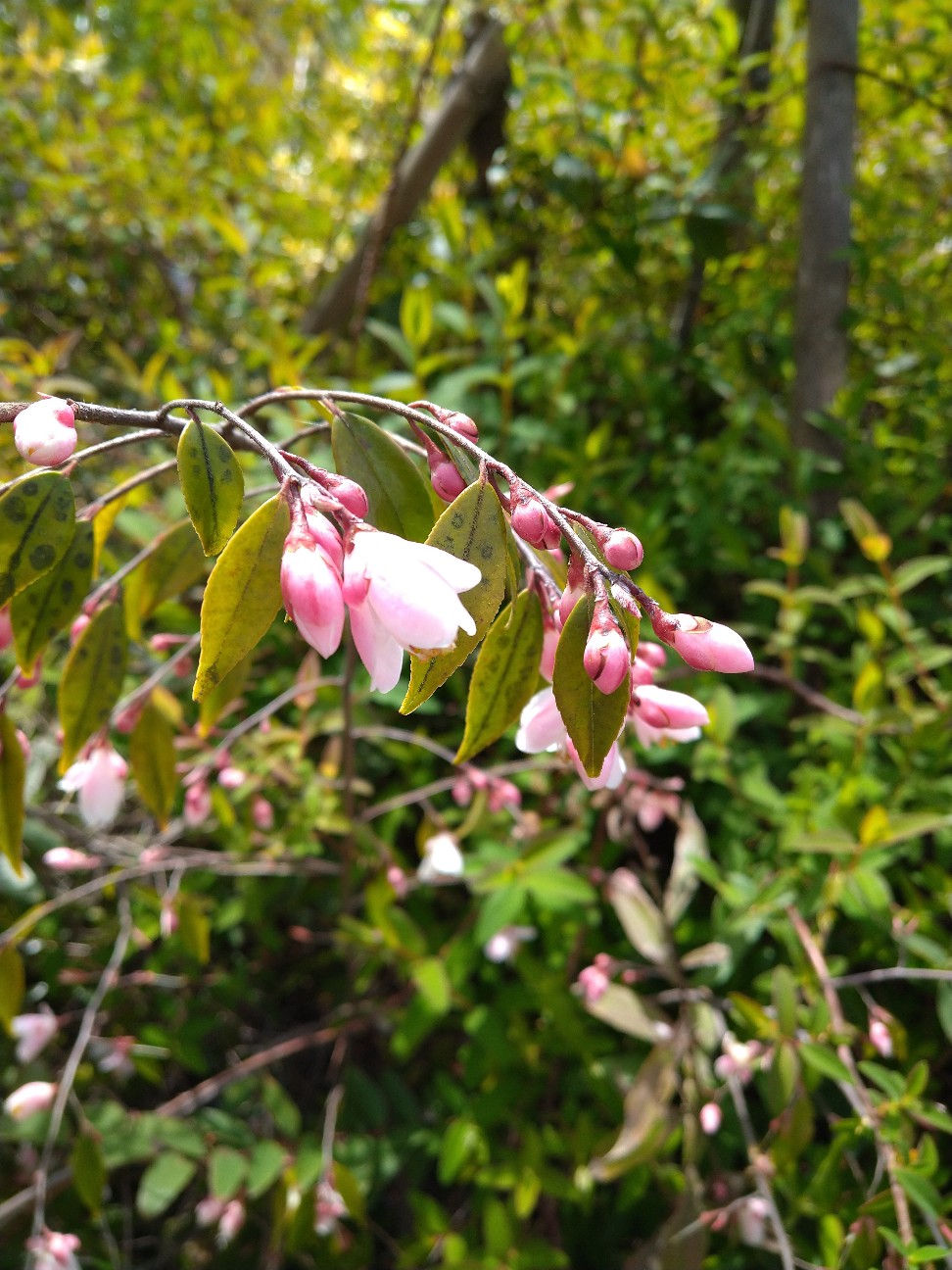 f:id:Ashito:20220416164307j:image