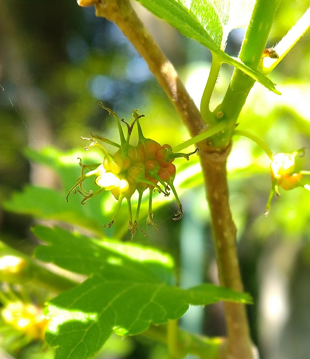 f:id:Ashito:20220505153821j:image