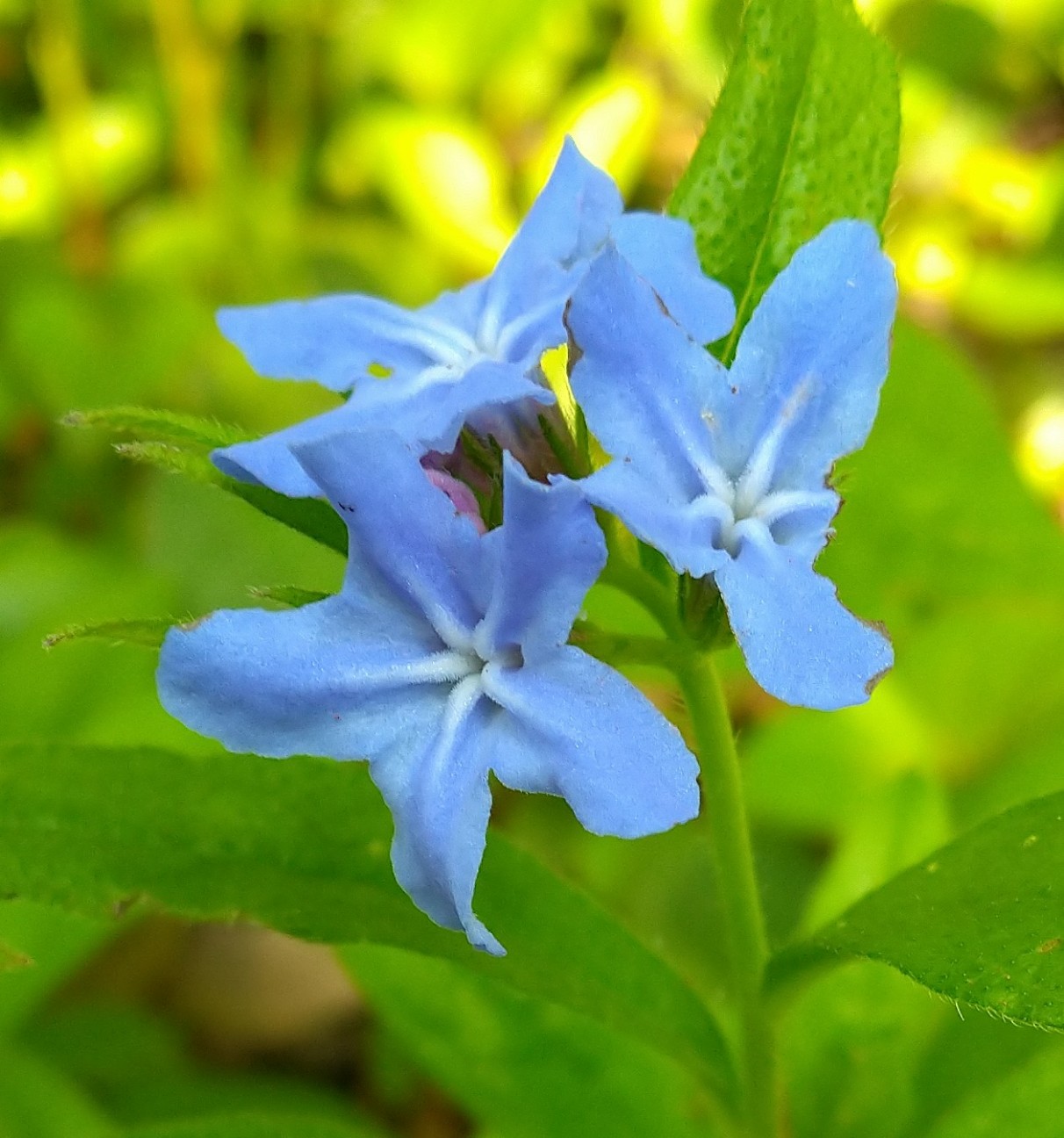f:id:Ashito:20220505163230j:image