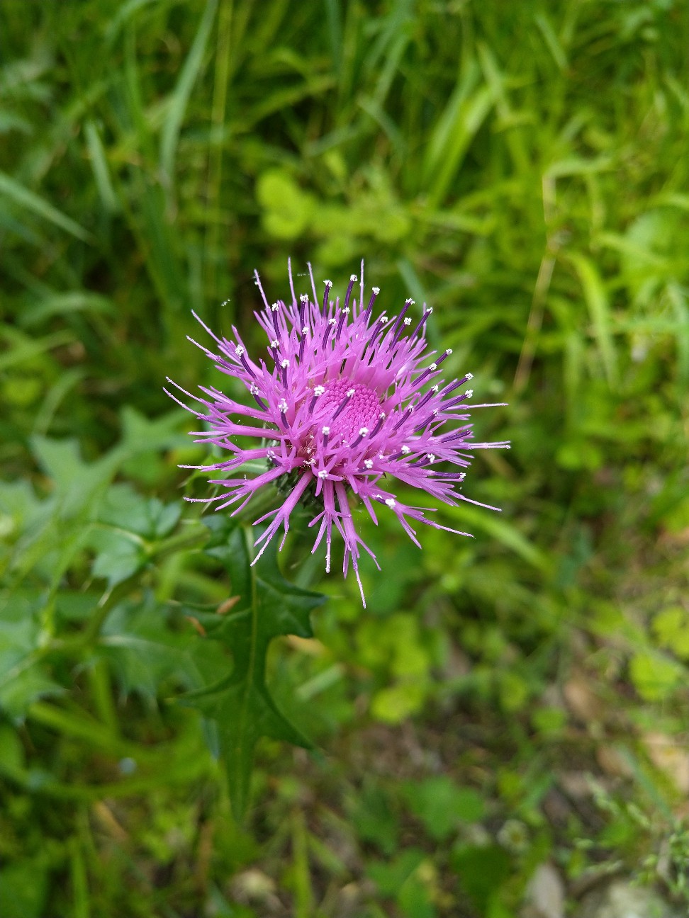 f:id:Ashito:20220520135634j:image