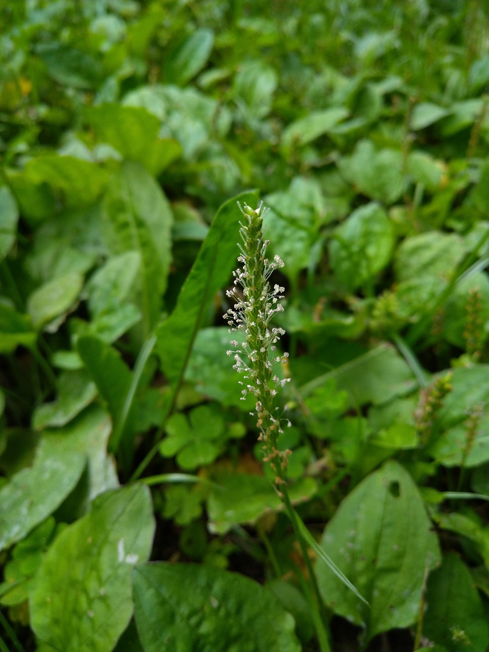 f:id:Ashito:20220618113350j:image f:id:Ashito:20220618113350j:image