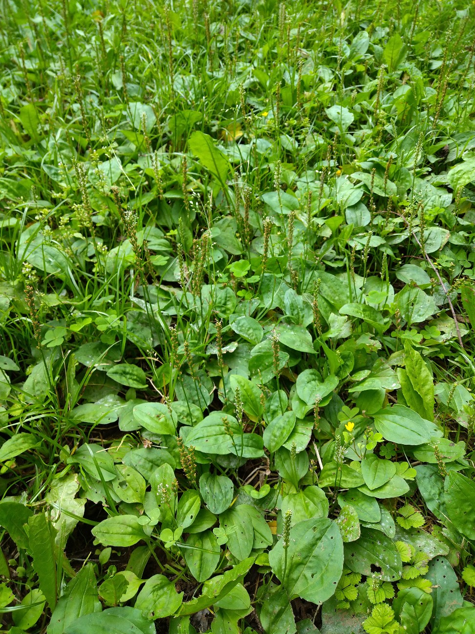 f:id:Ashito:20220618113412j:image f:id:Ashito:20220618113412j:image