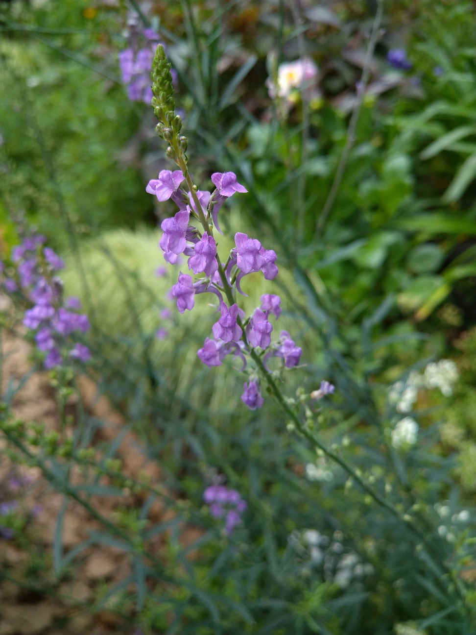 f:id:Ashito:20220618155500j:image