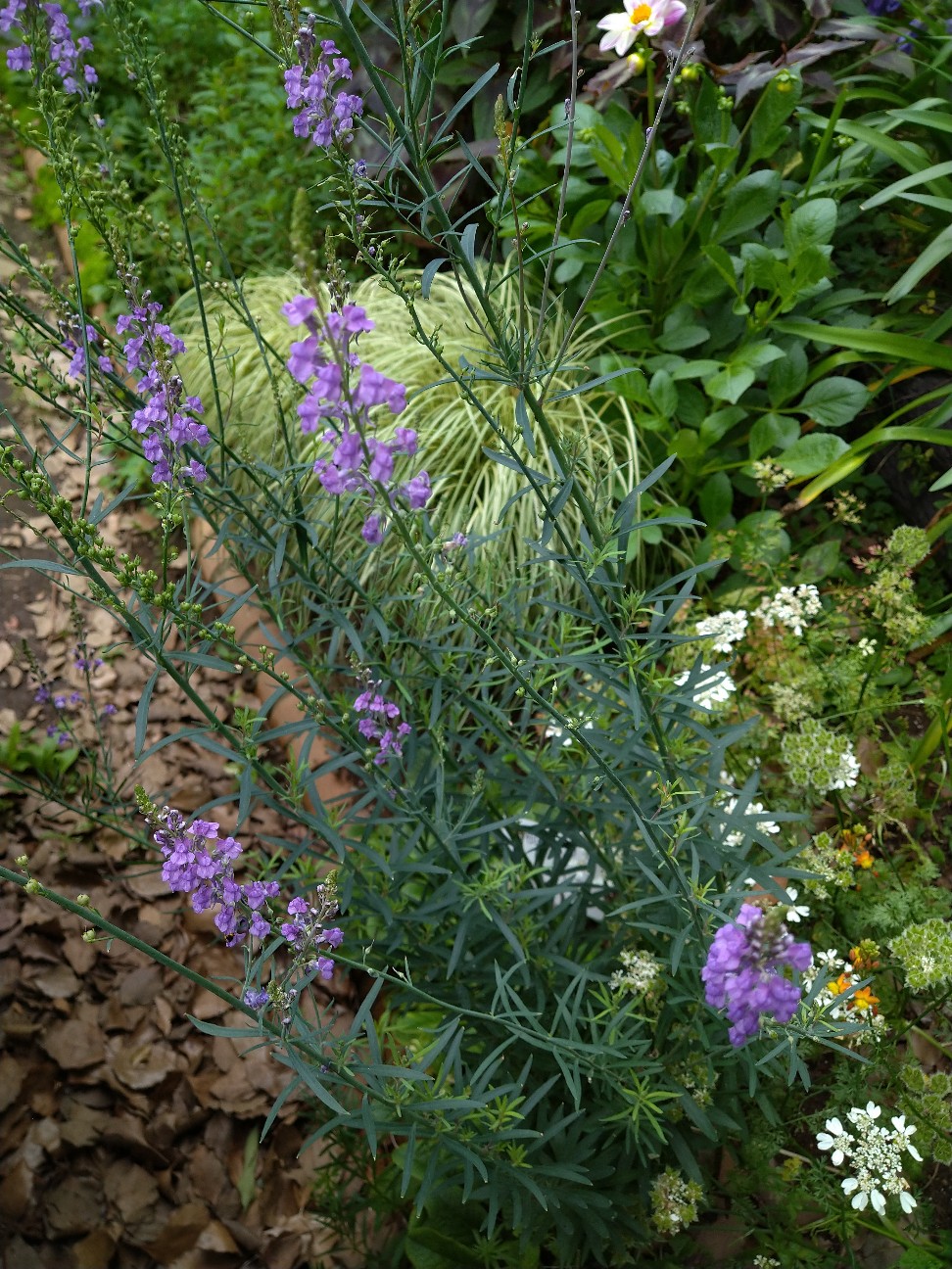 f:id:Ashito:20220618155511j:image