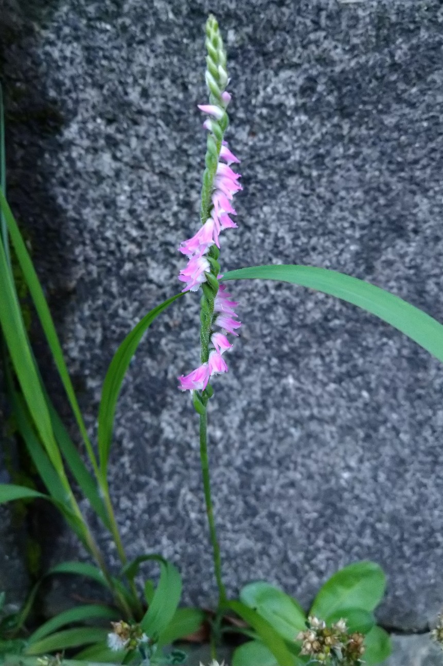 f:id:Ashito:20220622184920j:image