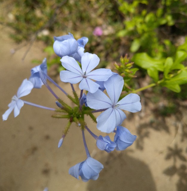 f:id:Ashito:20220709115530j:image