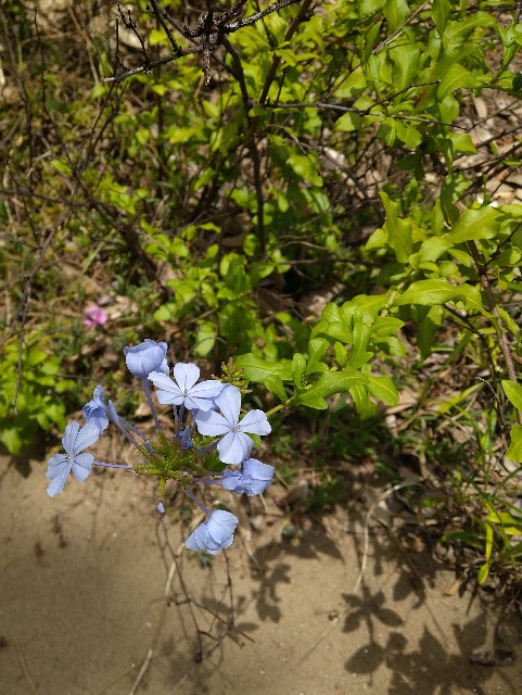 f:id:Ashito:20220709115550j:image