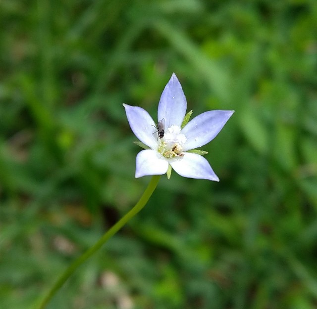 f:id:Ashito:20220717154417j:image