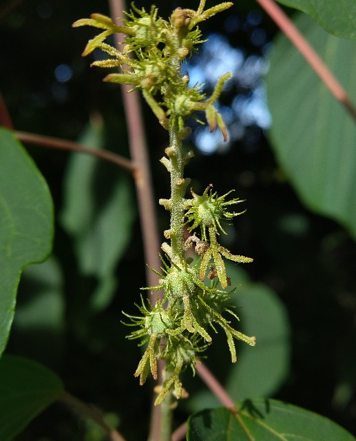 f:id:Ashito:20220811152722j:image