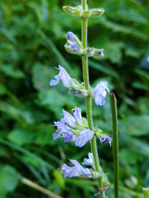 f:id:Ashito:20220811155006j:image