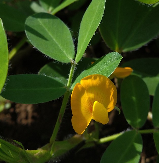 f:id:Ashito:20220811213710j:image