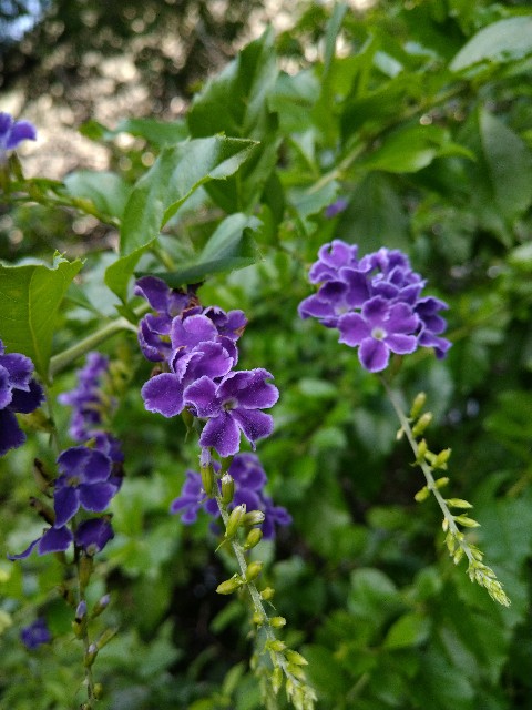 f:id:Ashito:20220811214744j:image
