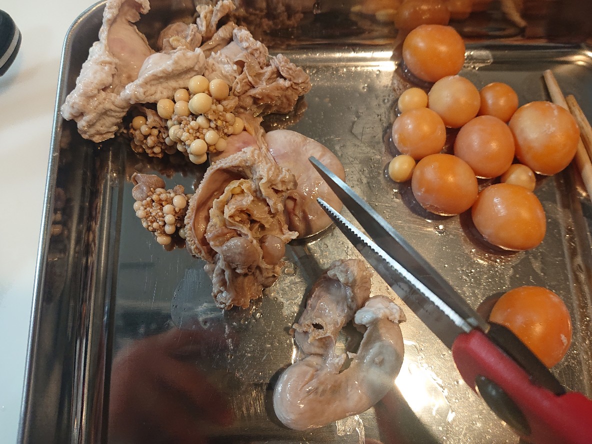 f:id:Ashley1127:20210315210559j:plain